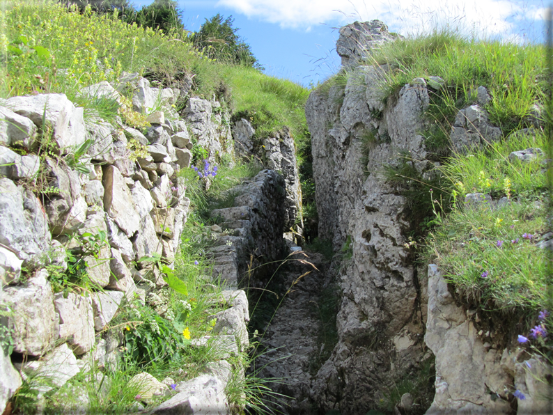 foto Trincea del Boccaor